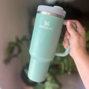 40oz Stanley tumbler in the color Eucalyptus